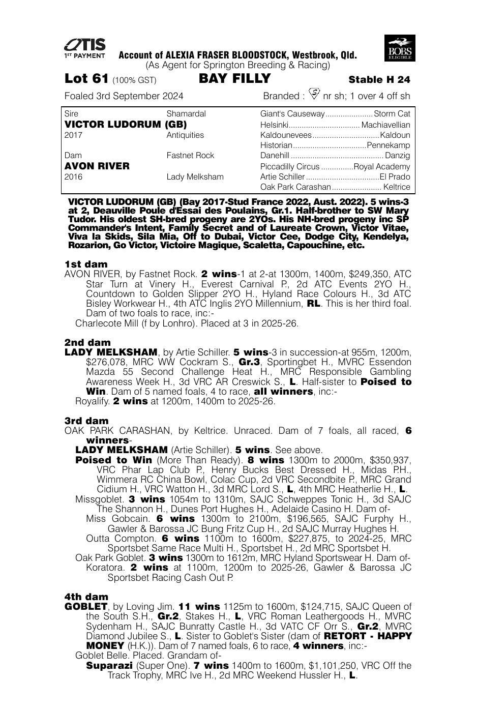 Pedigree - Lot 61