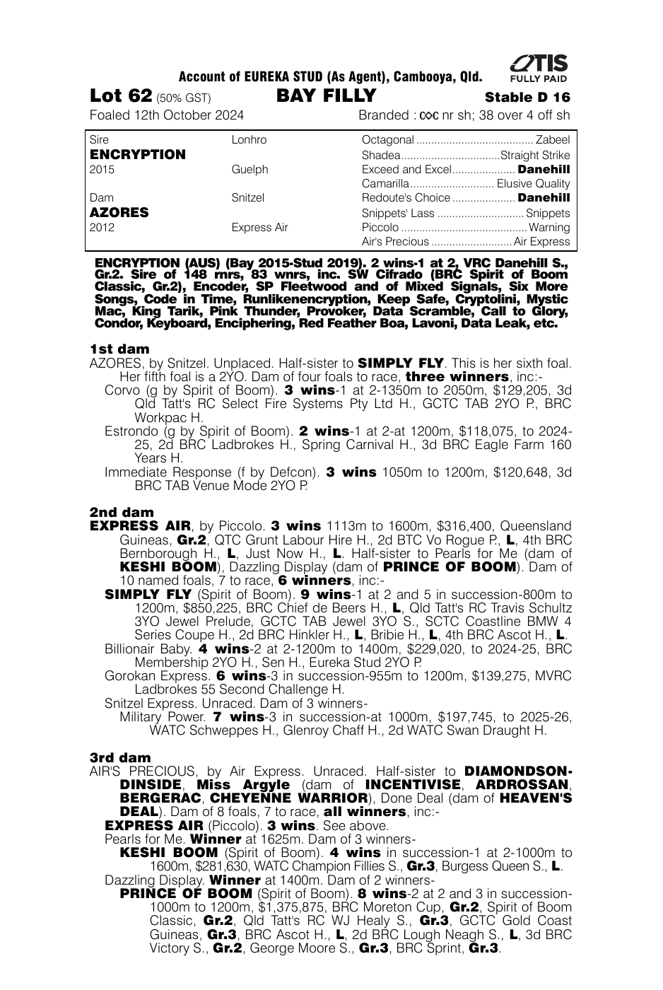 Pedigree - Lot 62