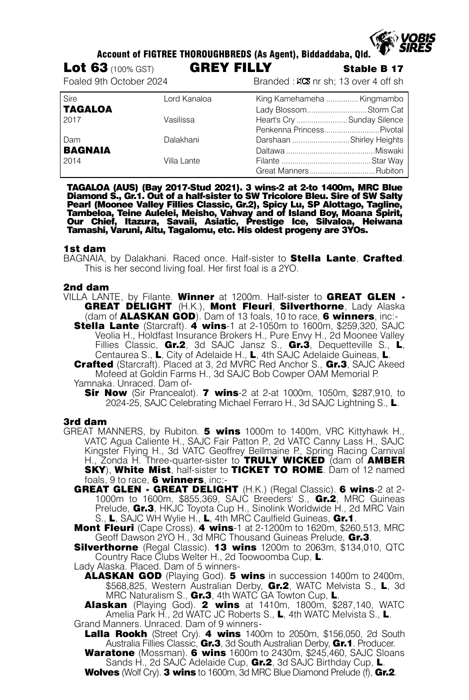 Pedigree - Lot 63