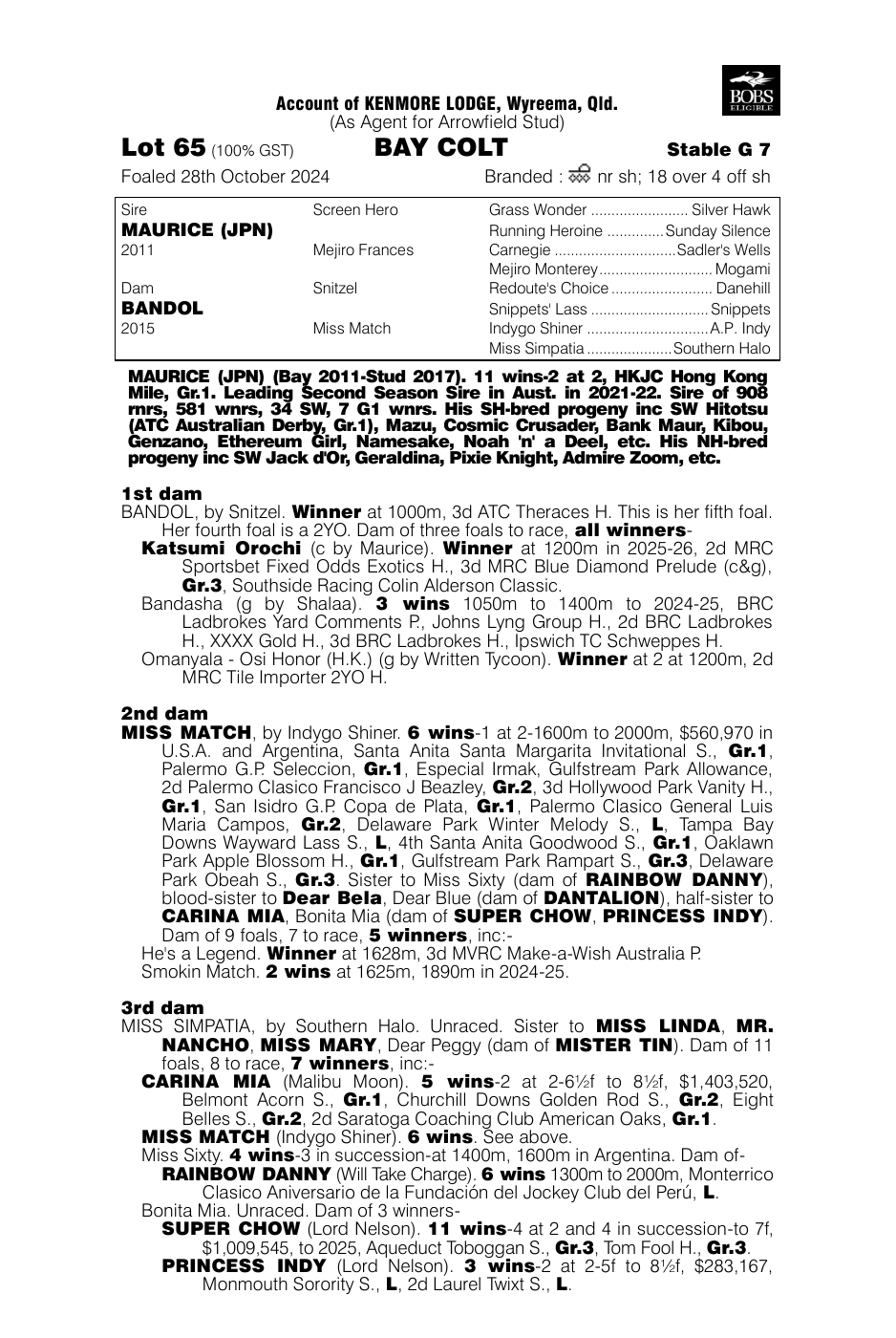 Pedigree - Lot 65
