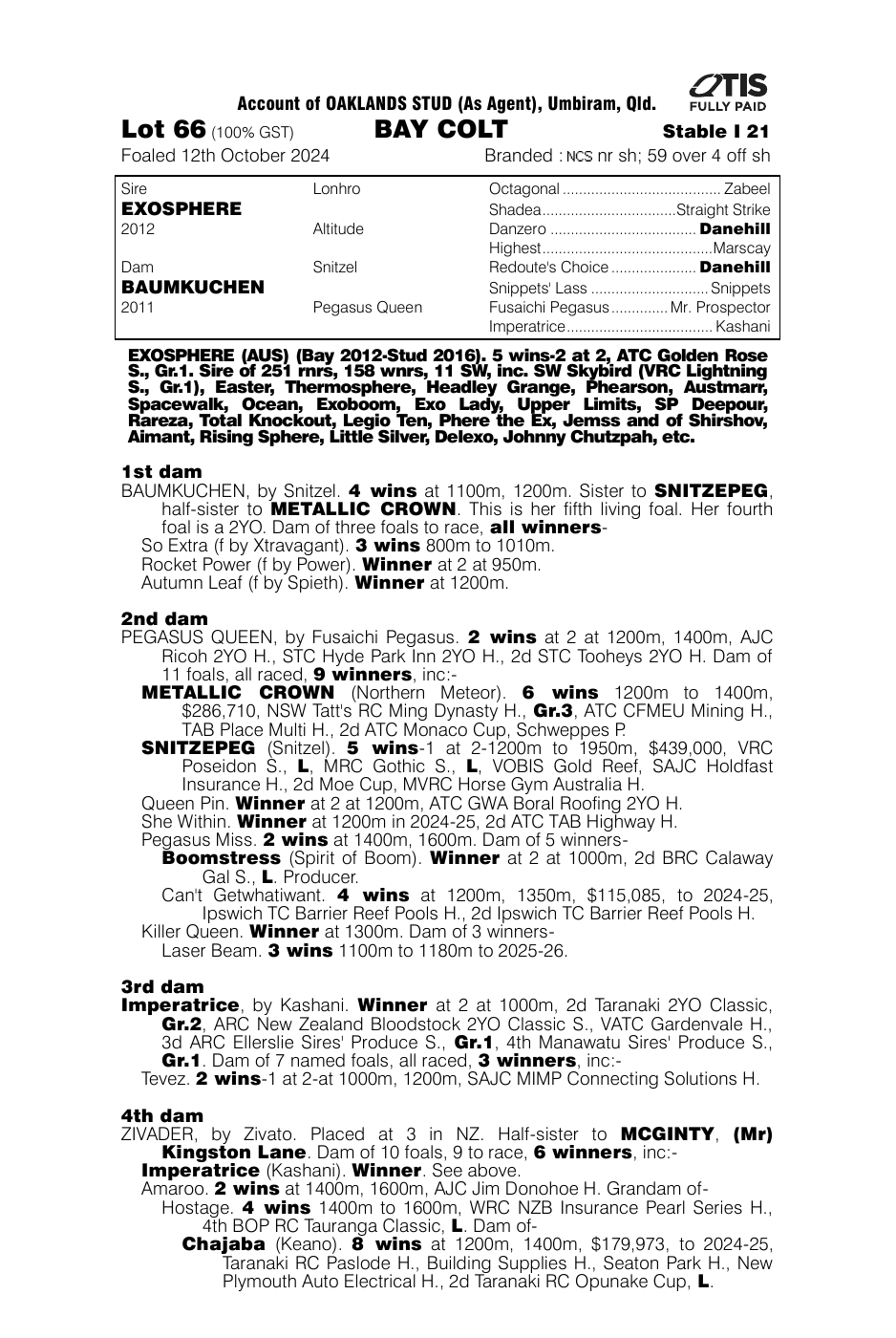 Pedigree - Lot 66