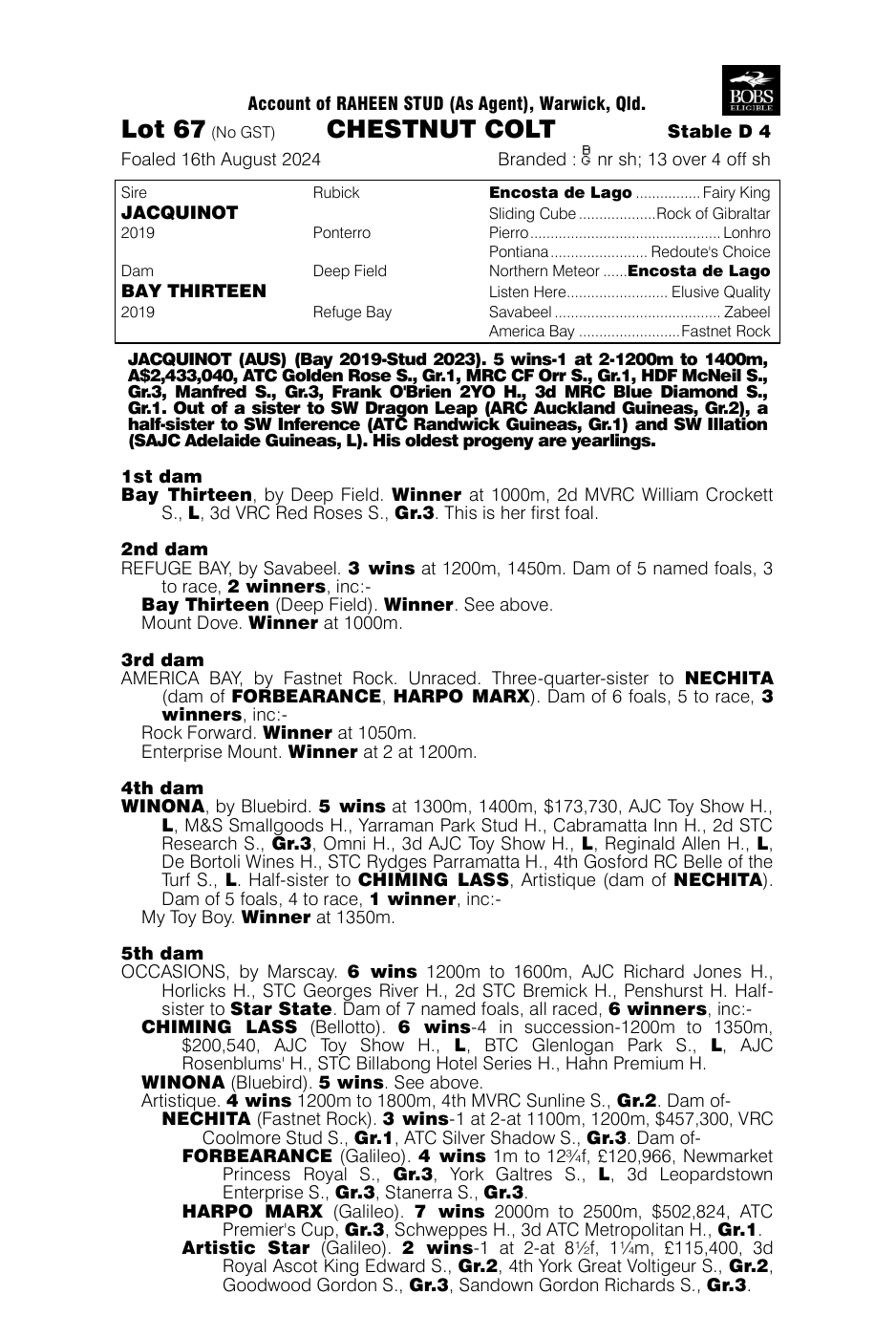 Pedigree - Lot 67