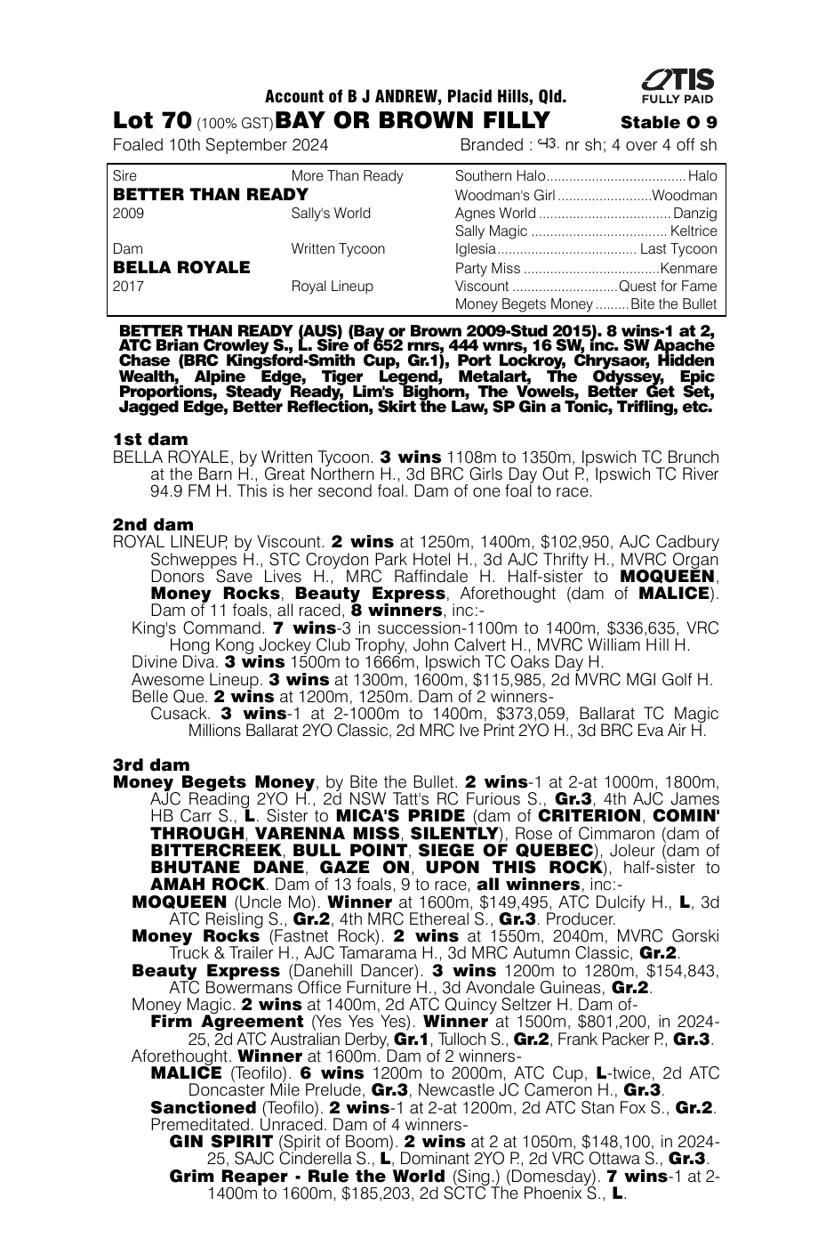 Pedigree - Lot 70