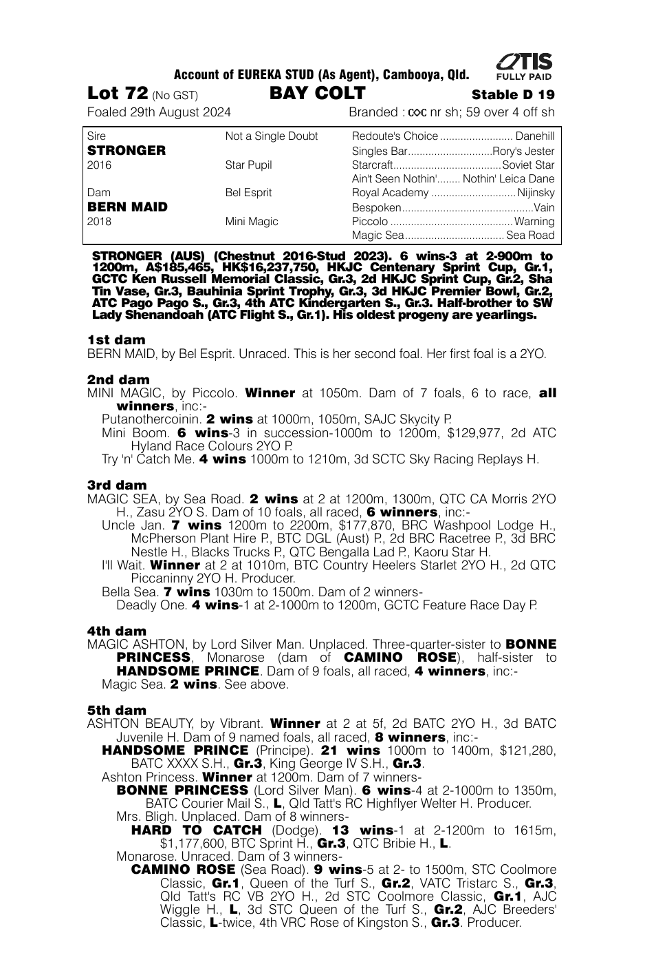 Pedigree - Lot 72