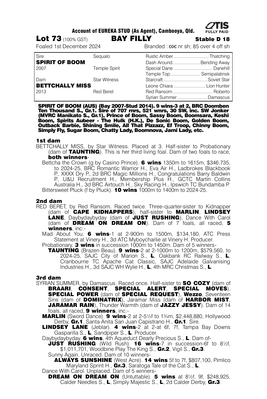 Pedigree - Lot 73