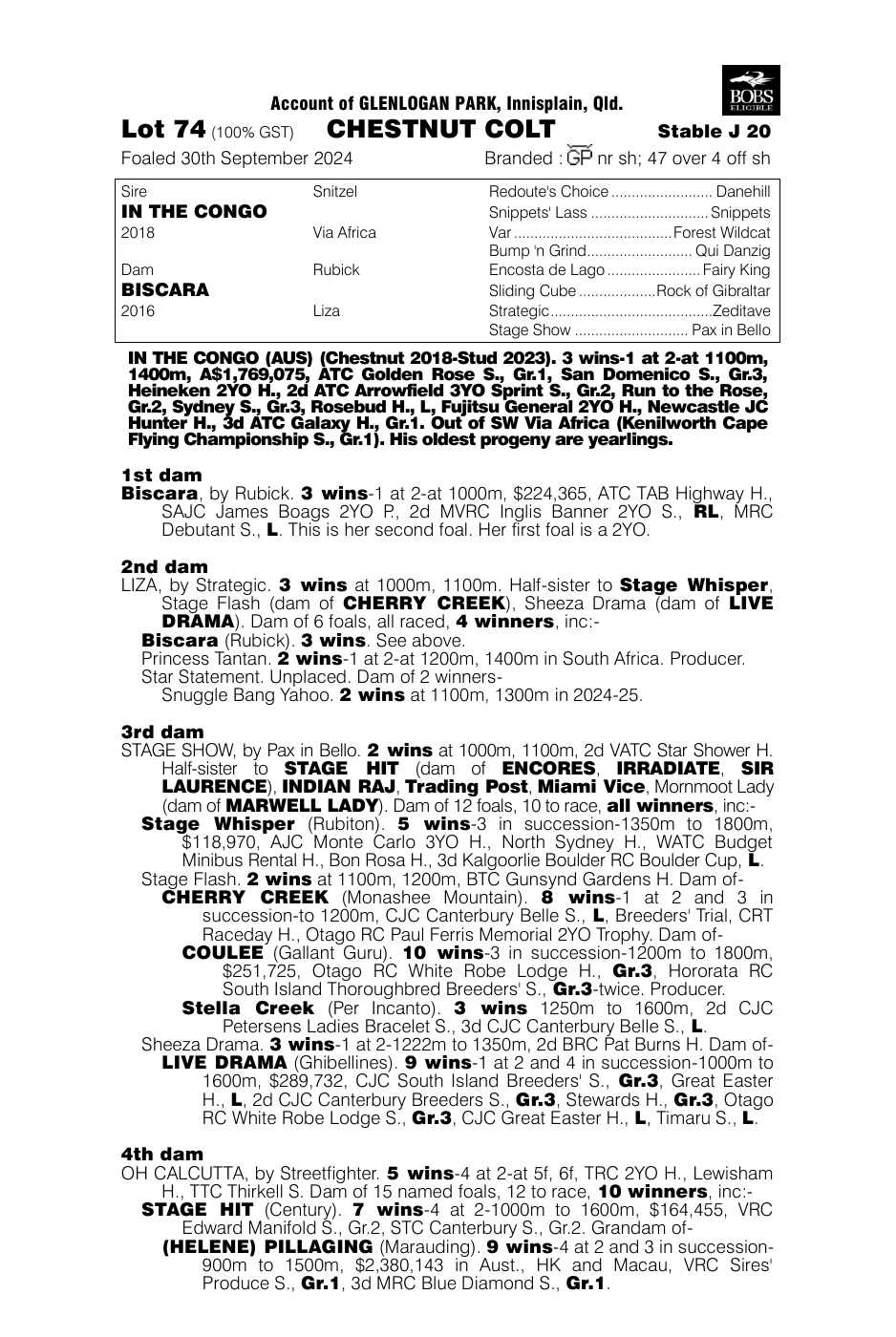 Pedigree - Lot 74
