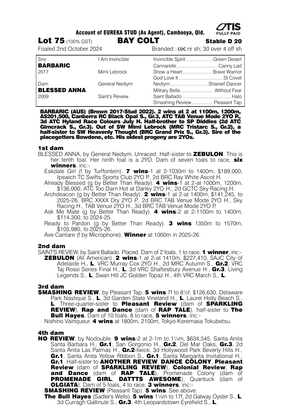 Pedigree - Lot 75