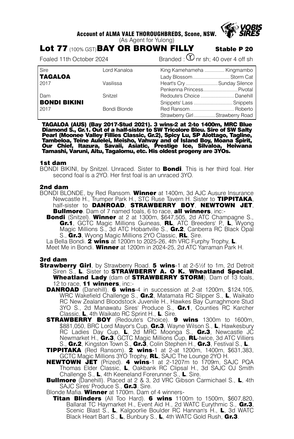 Pedigree - Lot 77