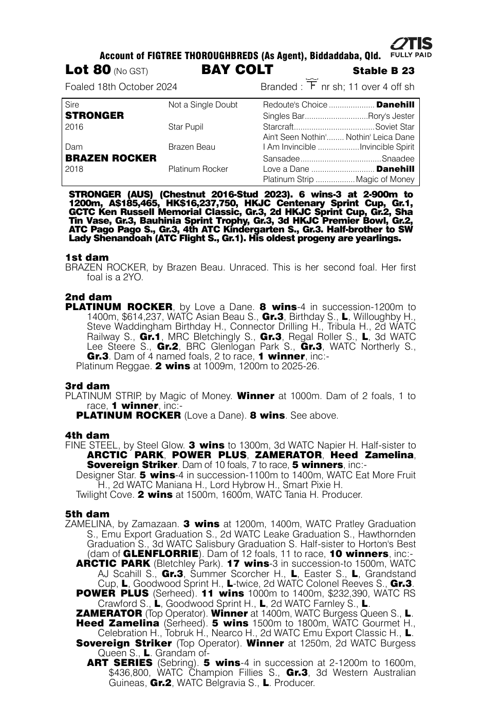 Pedigree - Lot 80