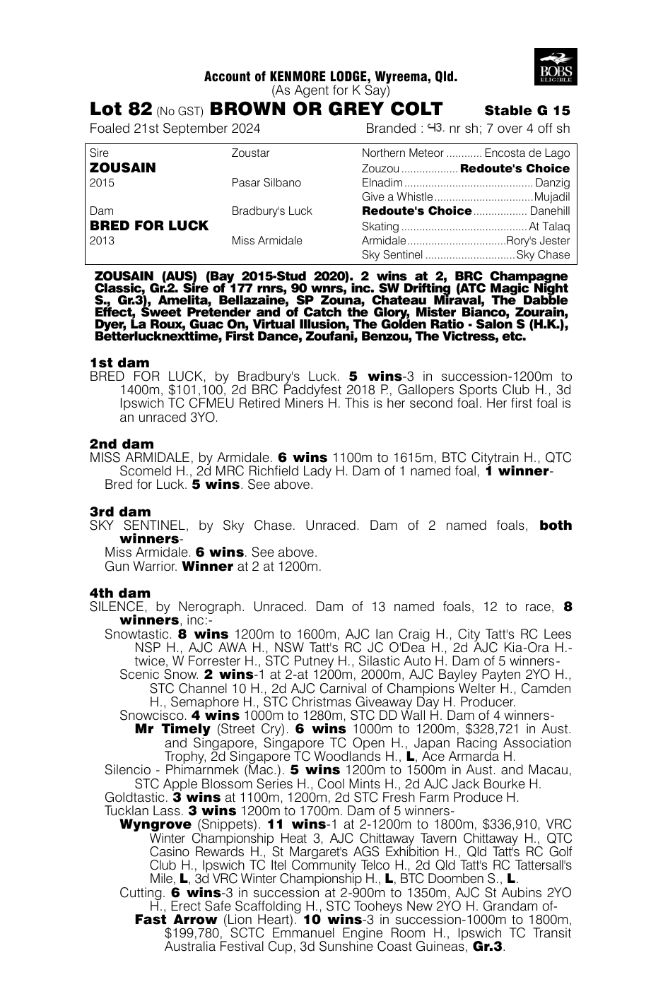 Pedigree - Lot 82