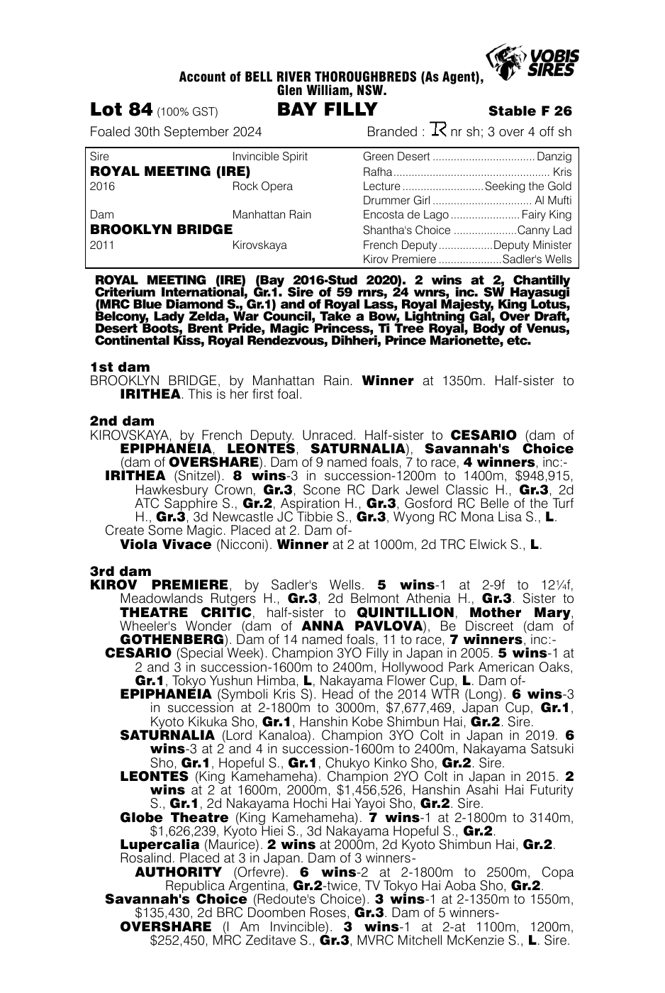 Pedigree - Lot 84