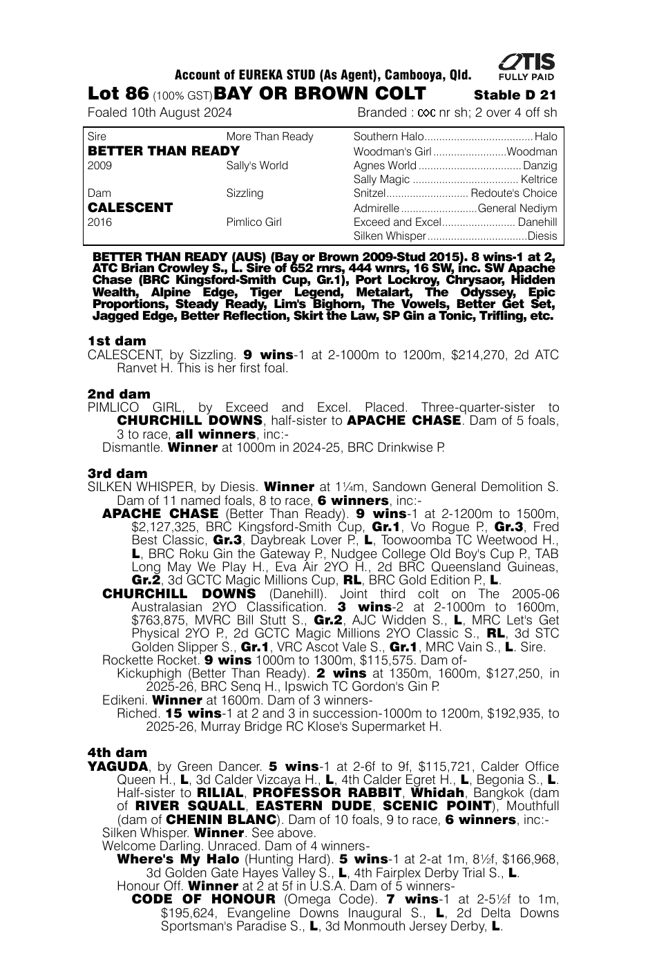 Pedigree - Lot 86