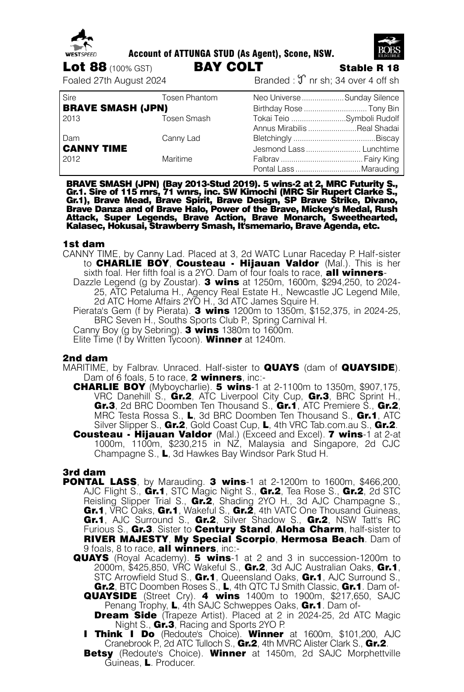 Pedigree - Lot 88