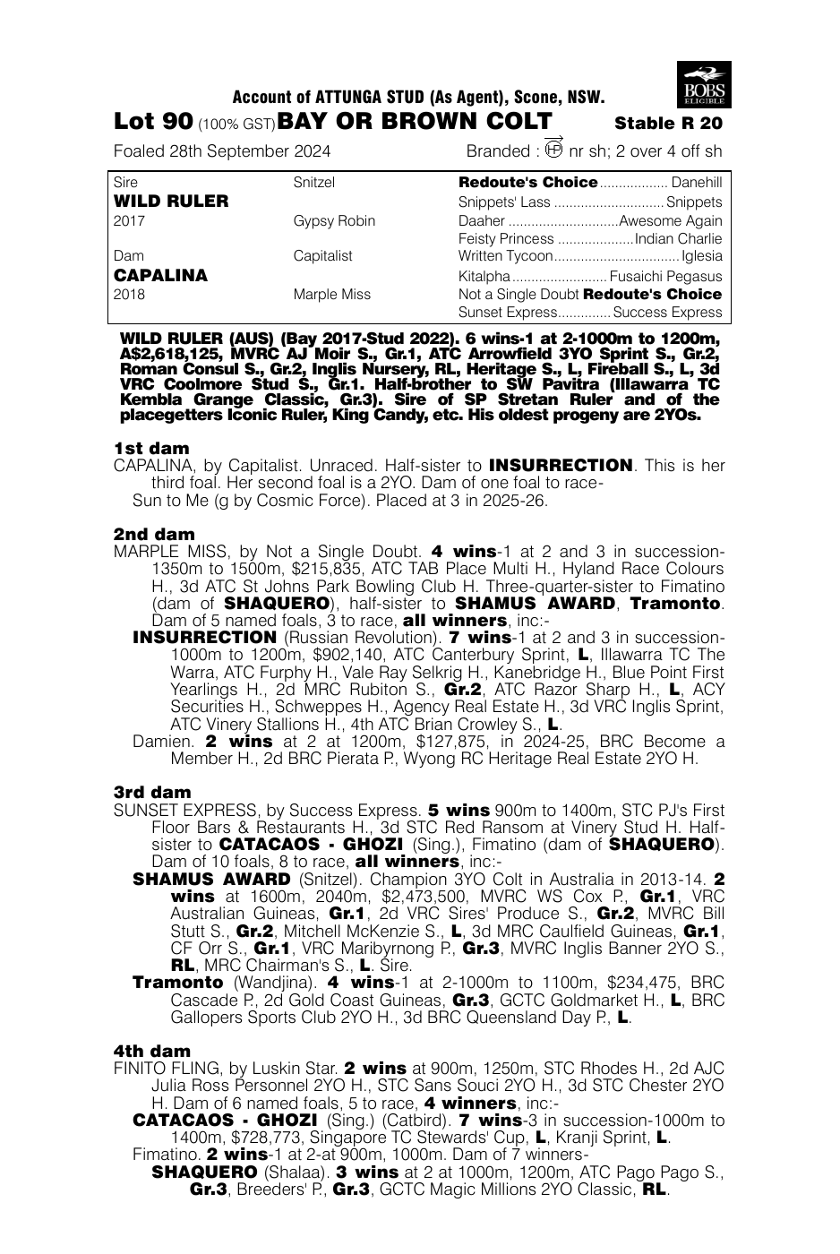 Pedigree - Lot 90