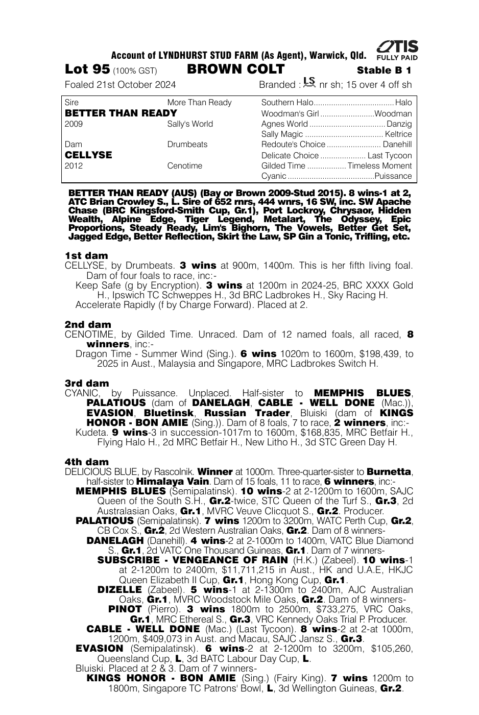 Pedigree - Lot 95