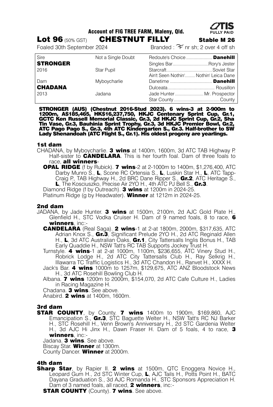 Pedigree - Lot 96
