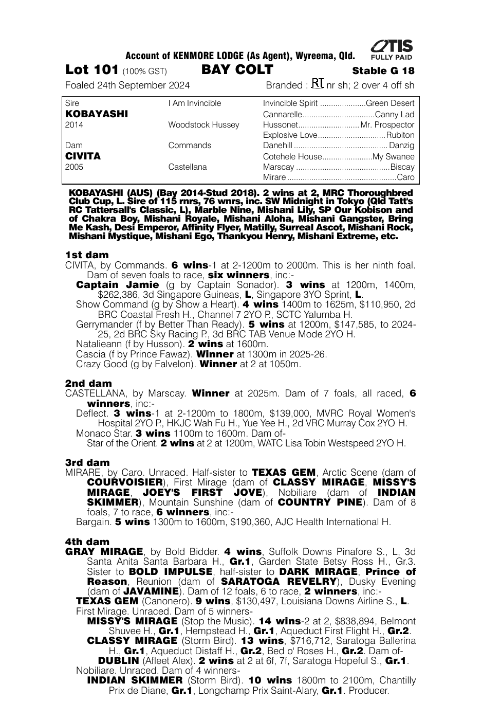 Pedigree - Lot 101