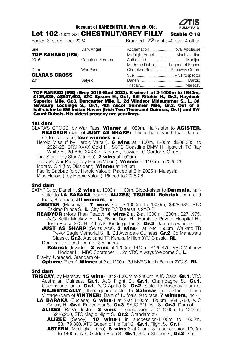 Pedigree - Lot 102