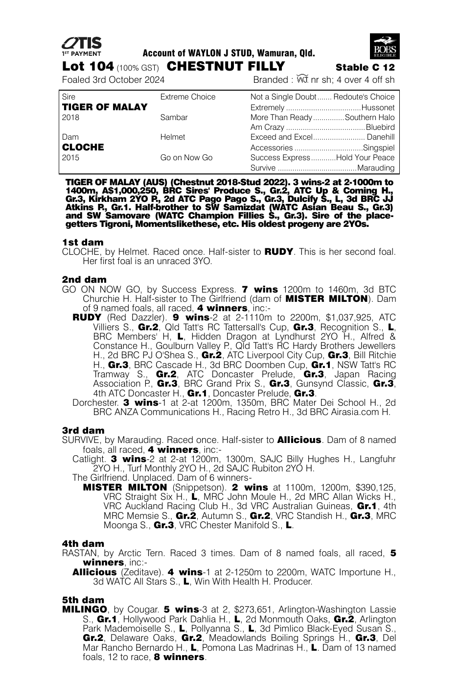 Pedigree - Lot 104