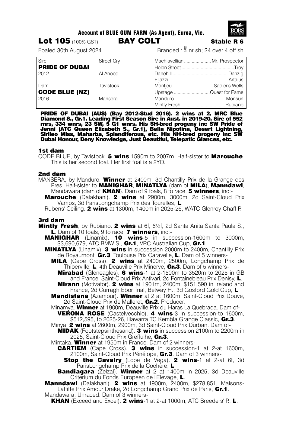 Pedigree - Lot 105
