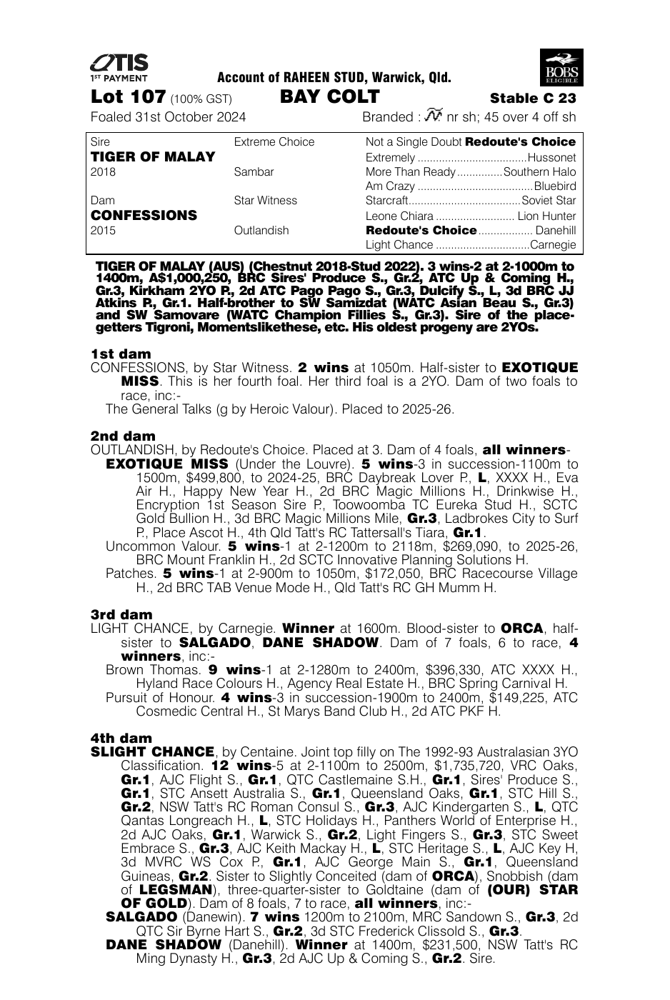 Pedigree - Lot 107