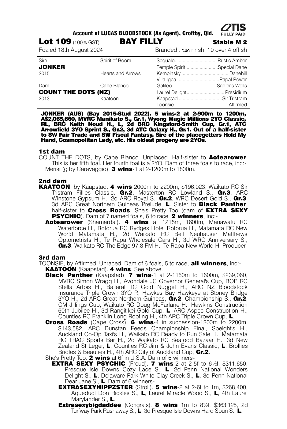 Pedigree - Lot 109