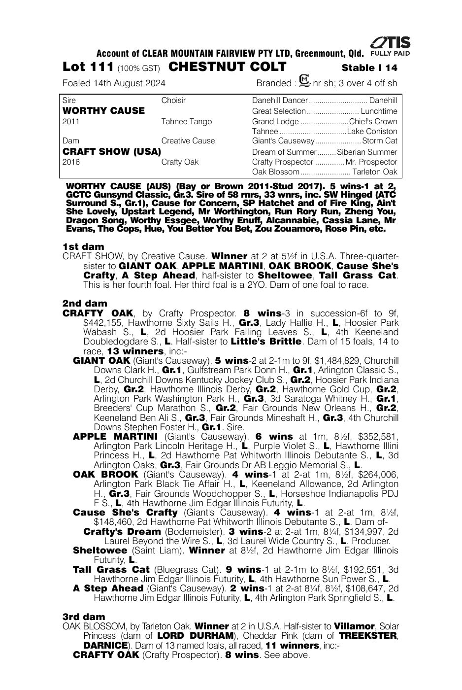 Pedigree - Lot 111