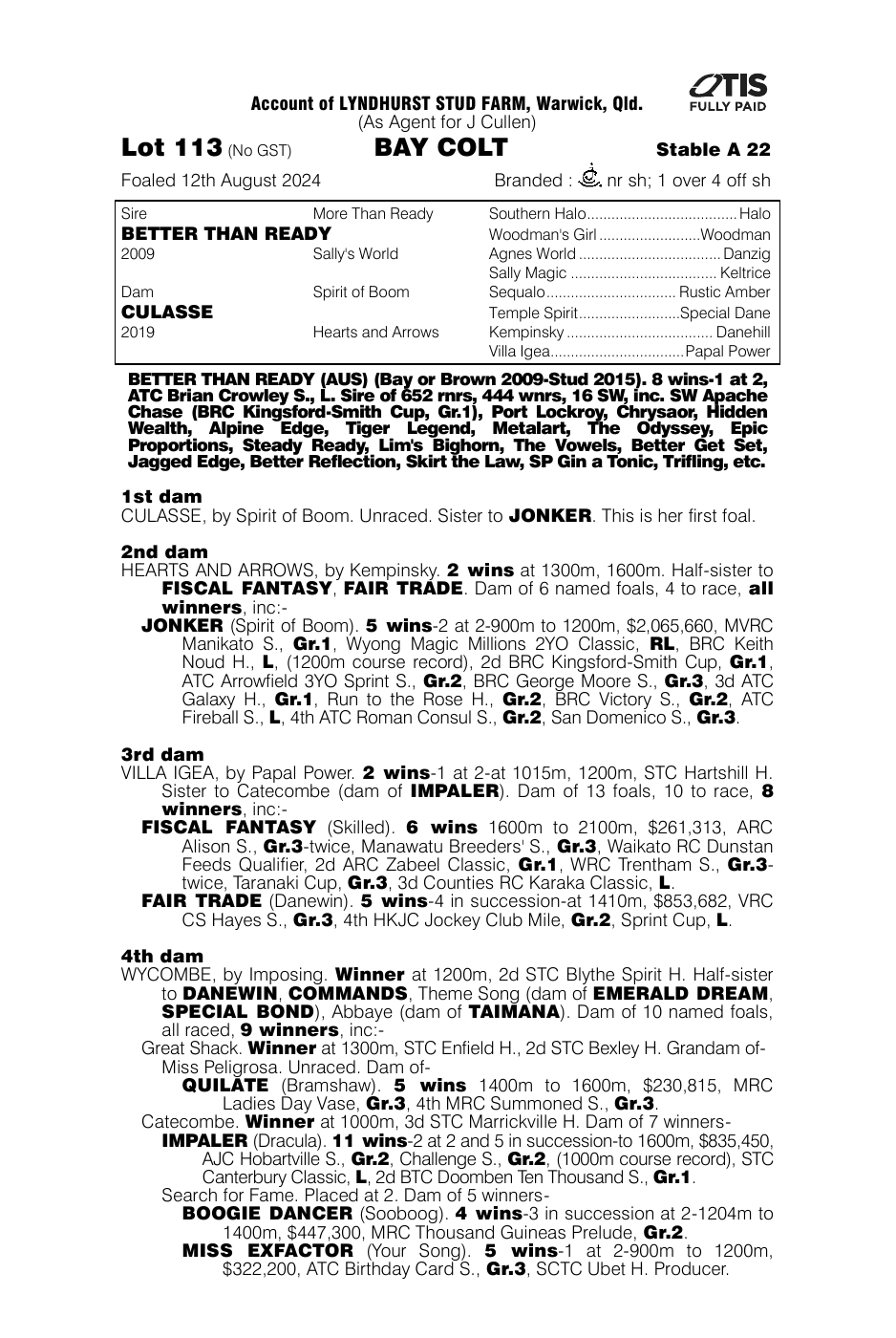 Pedigree - Lot 113