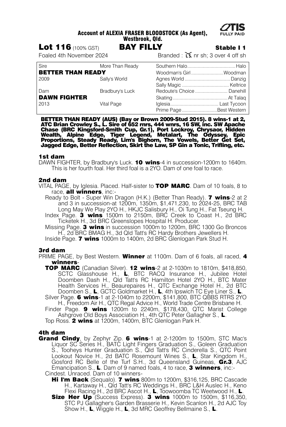 Pedigree - Lot 116