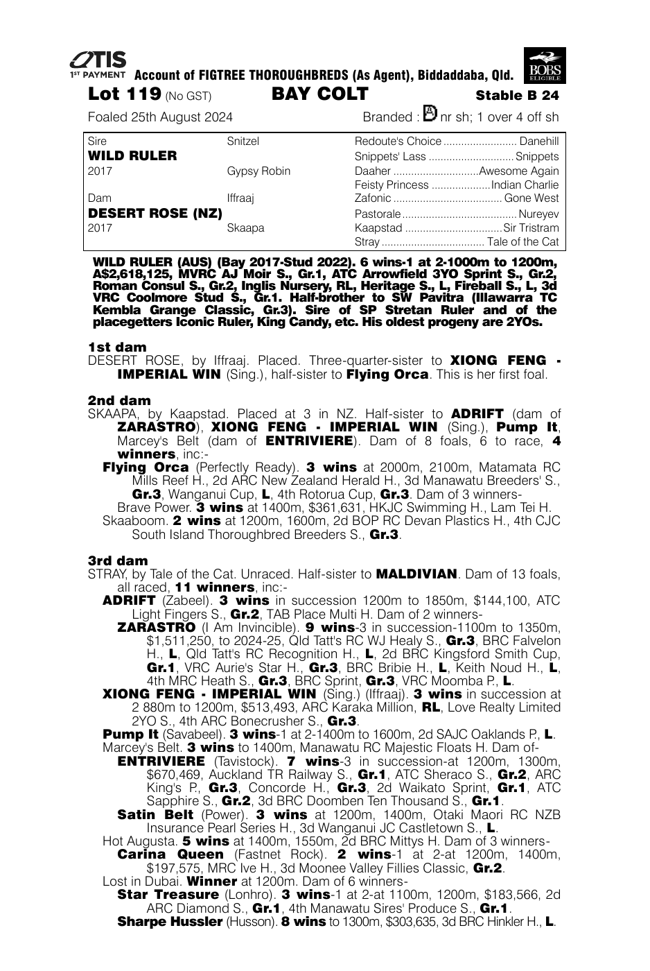 Pedigree - Lot 119