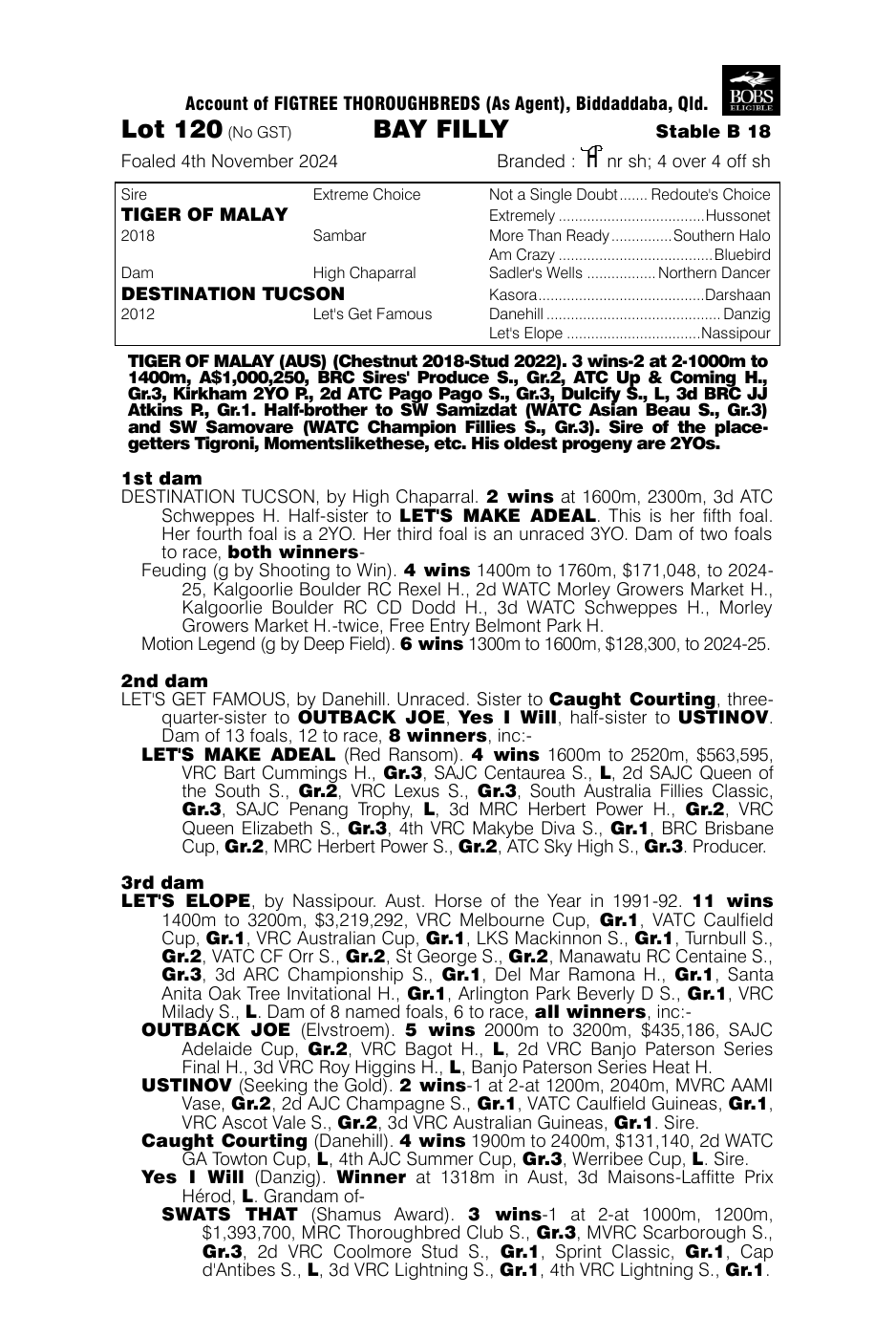 Pedigree - Lot 120