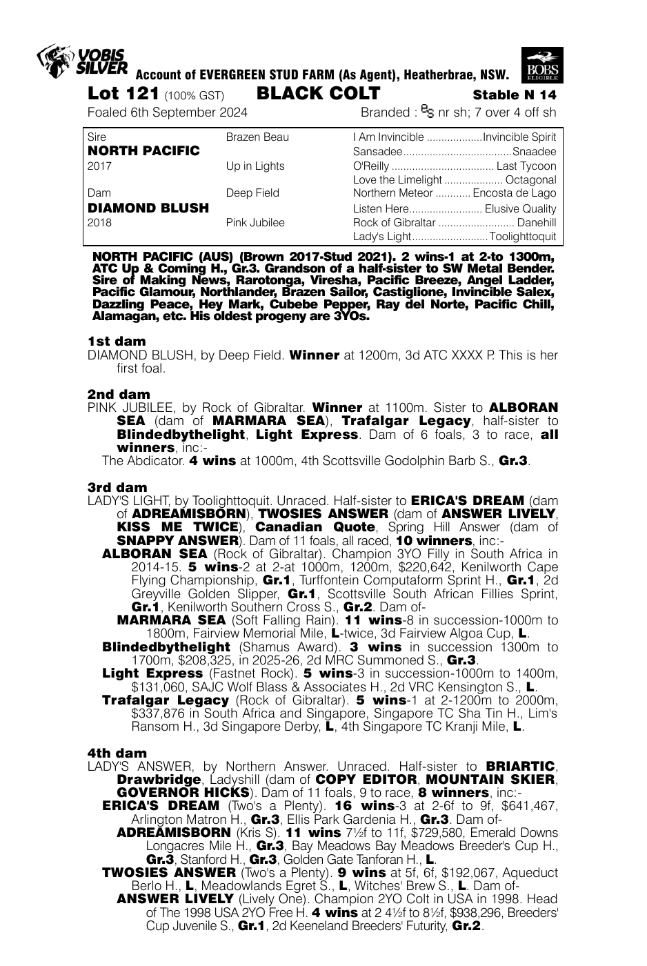 Pedigree - Lot 121