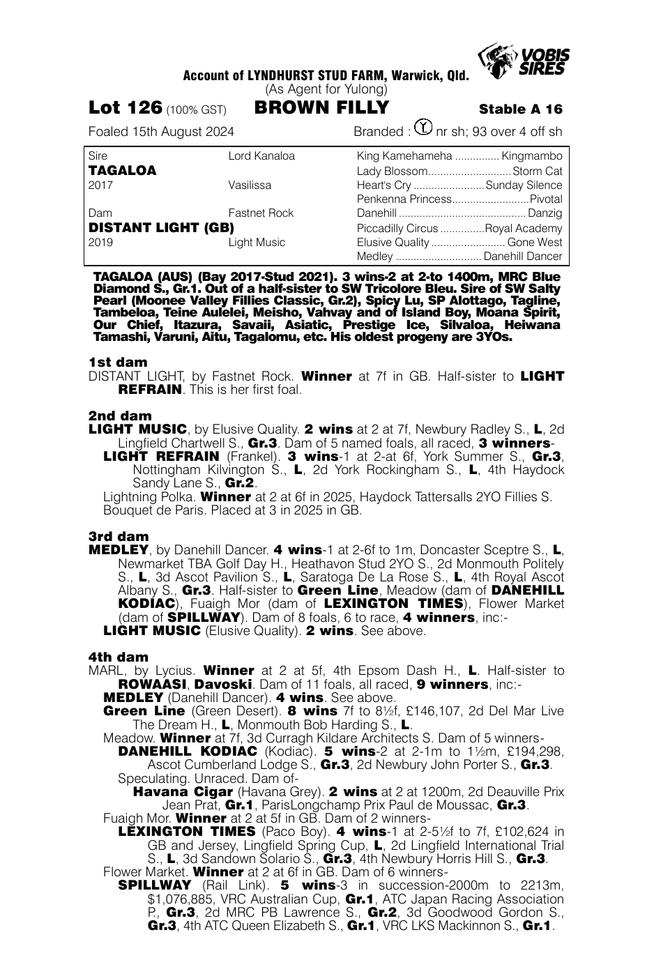 Pedigree - Lot 126