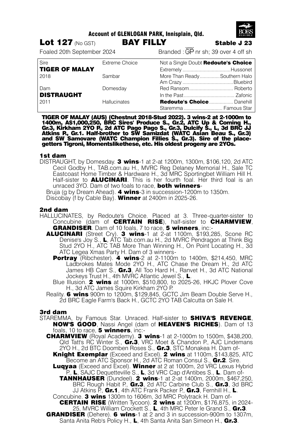 Pedigree - Lot 127