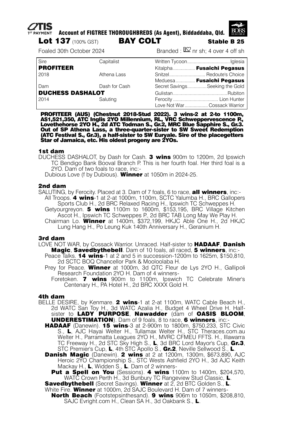 Pedigree - Lot 137