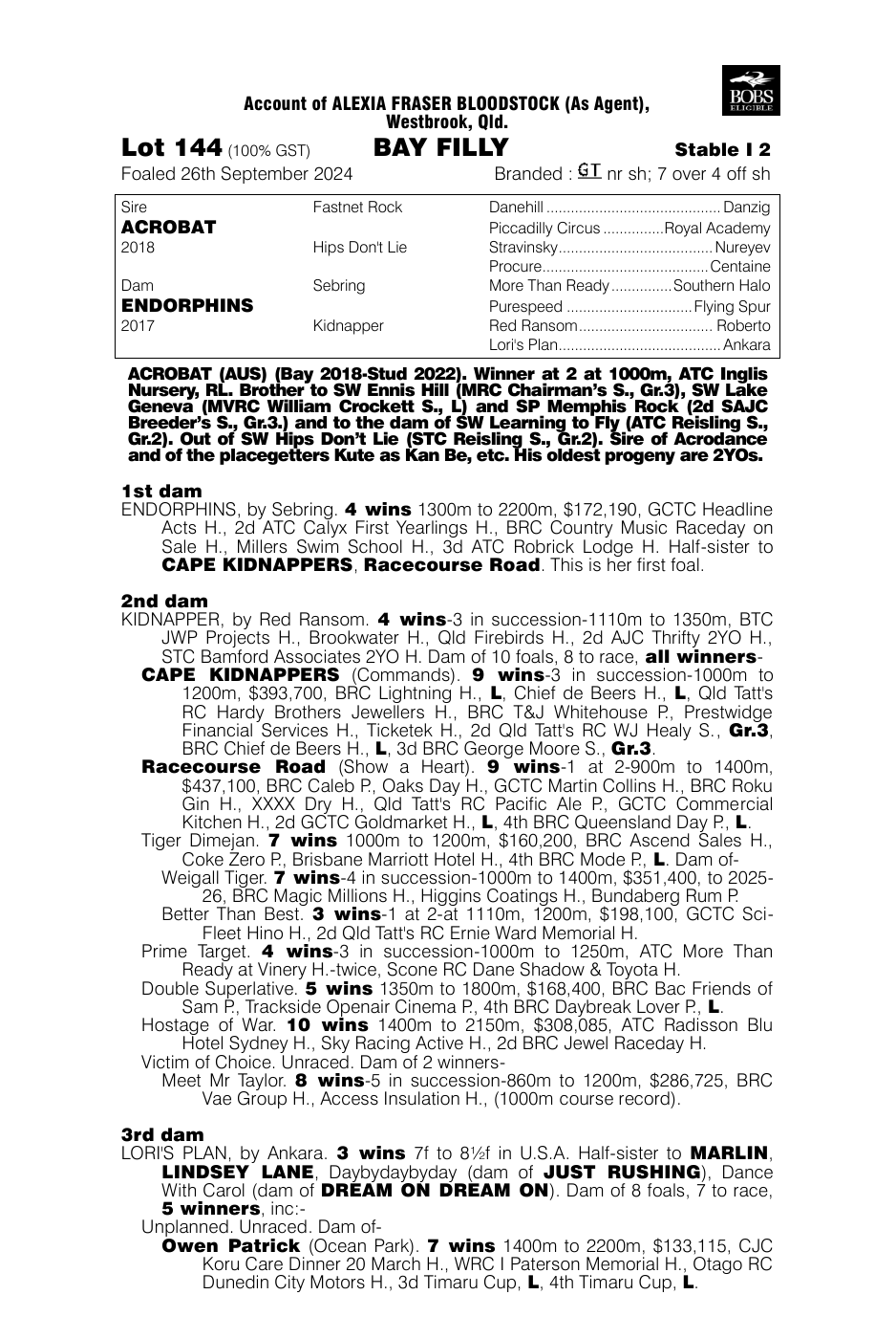 Pedigree - Lot 144