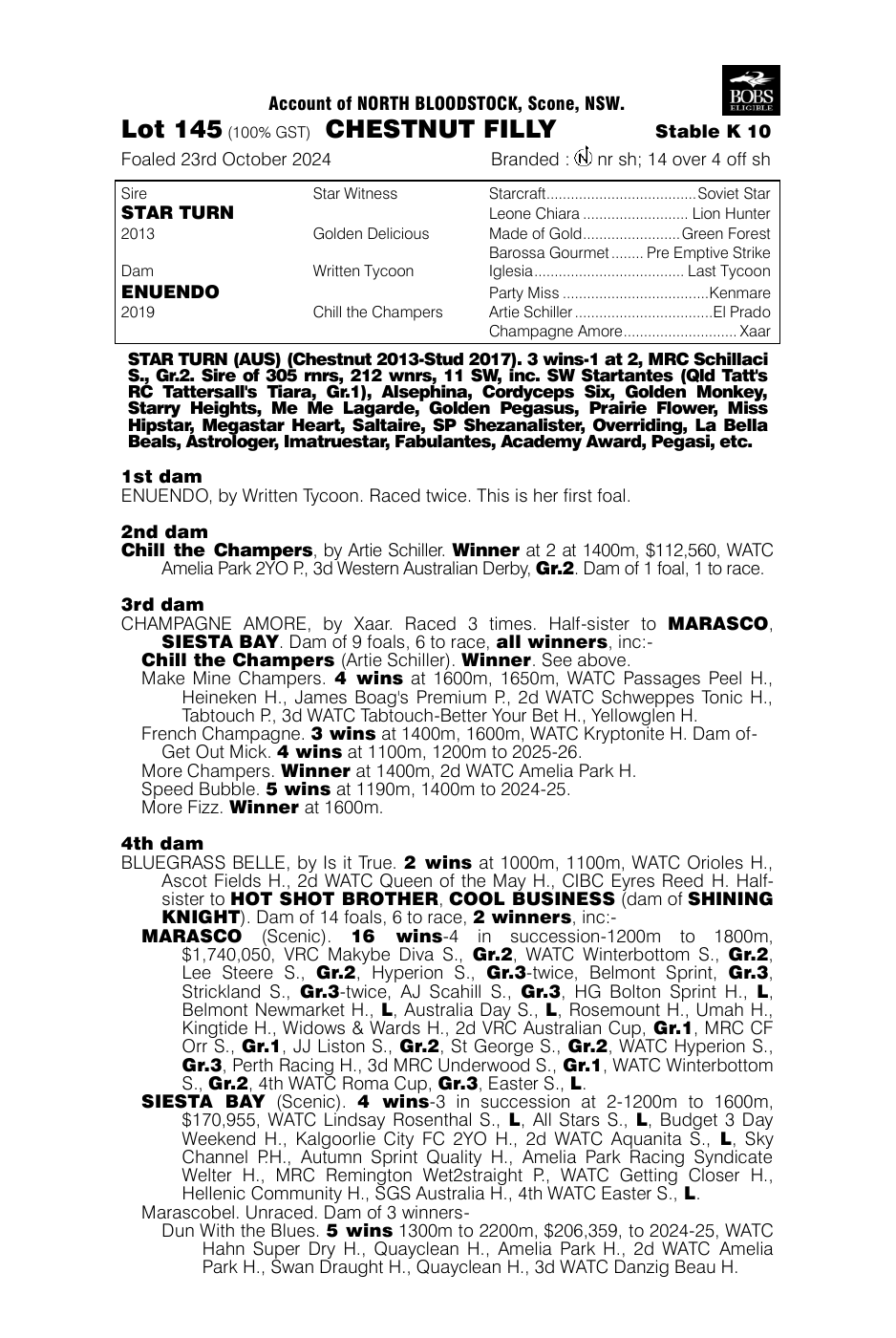 Pedigree - Lot 145