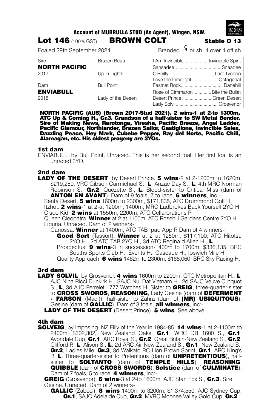 Pedigree - Lot 146