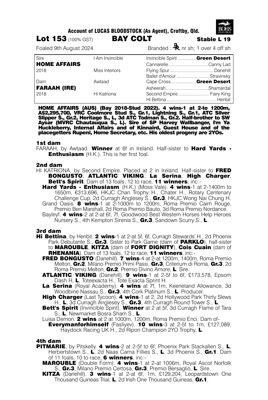 Pedigree - Lot 153