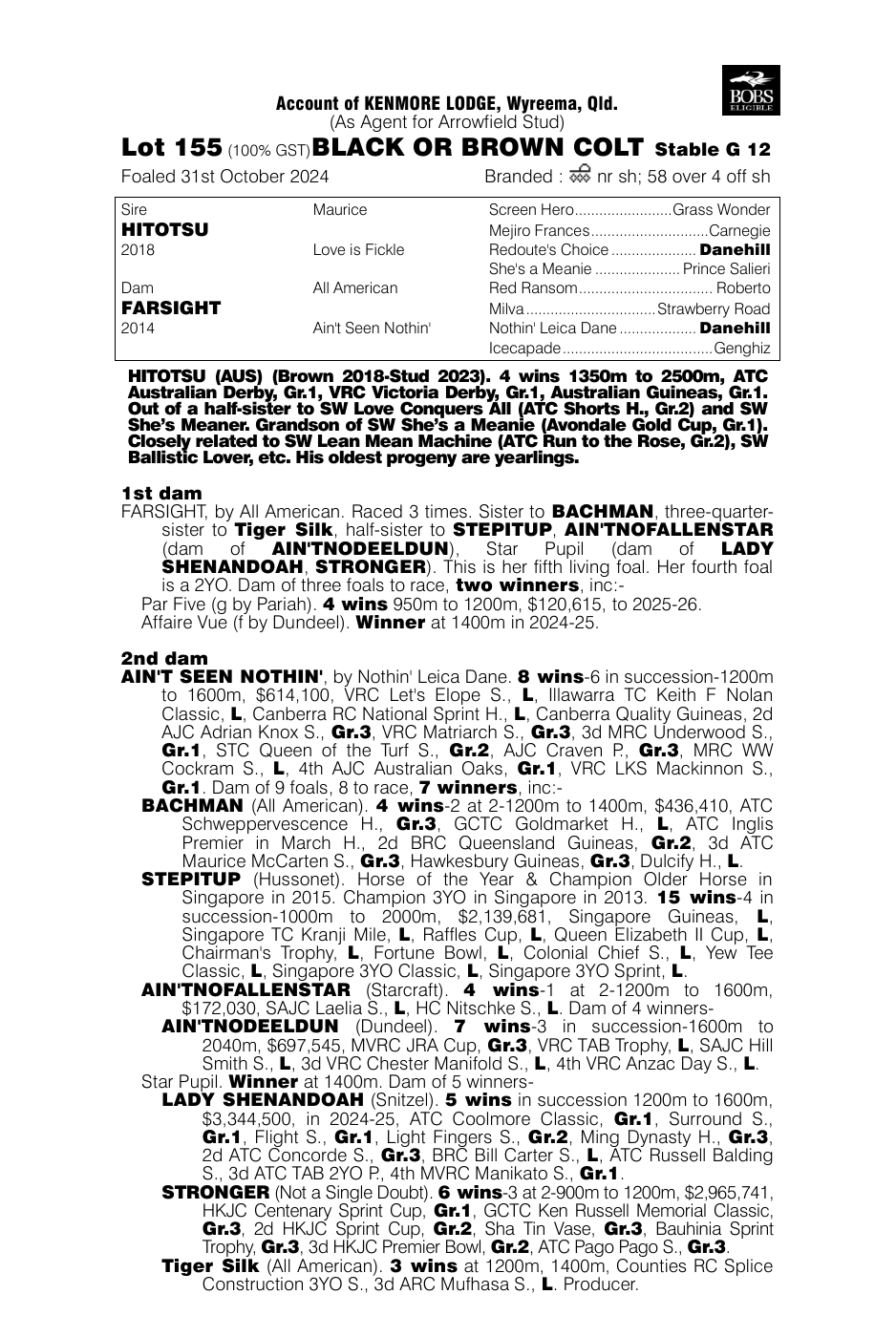 Pedigree - Lot 155