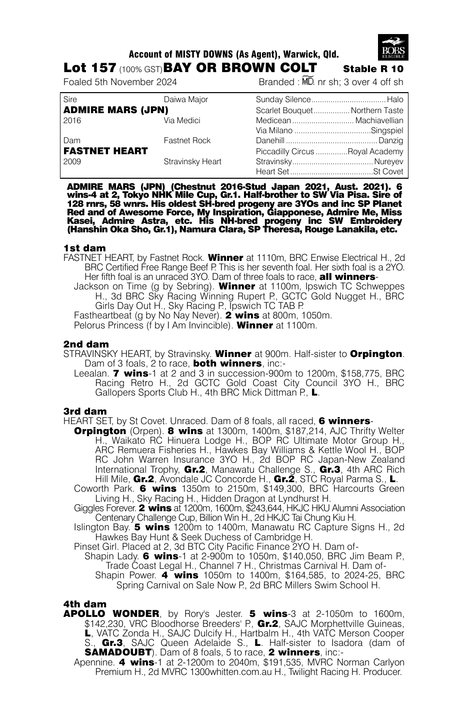 Pedigree - Lot 157