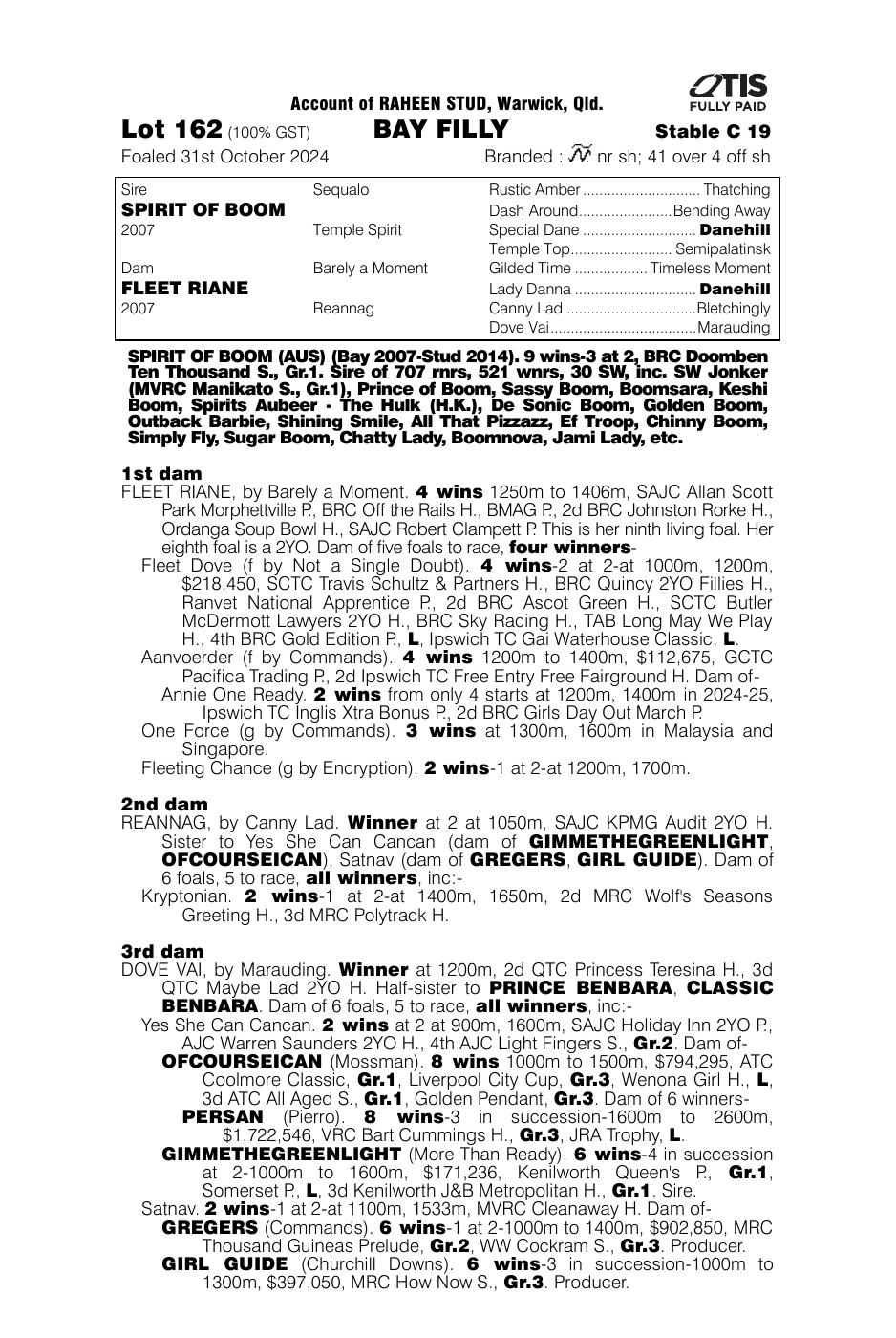 Pedigree - Lot 162