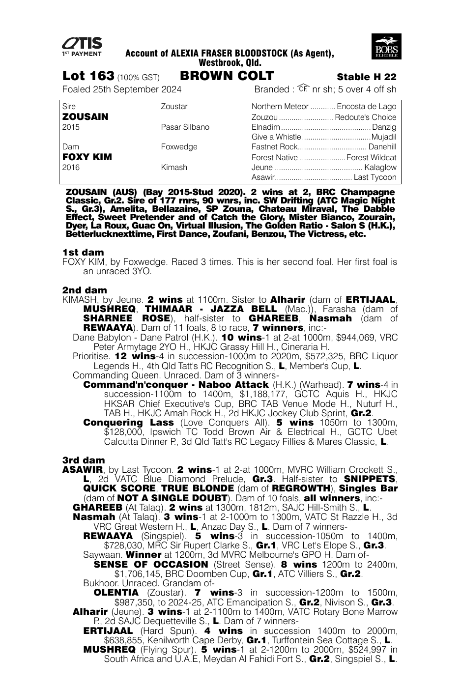 Pedigree - Lot 163