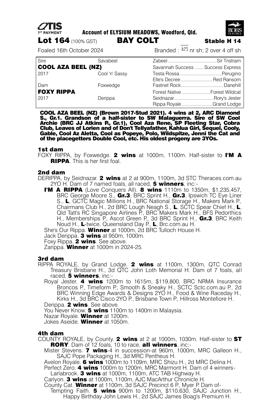 Pedigree - Lot 164