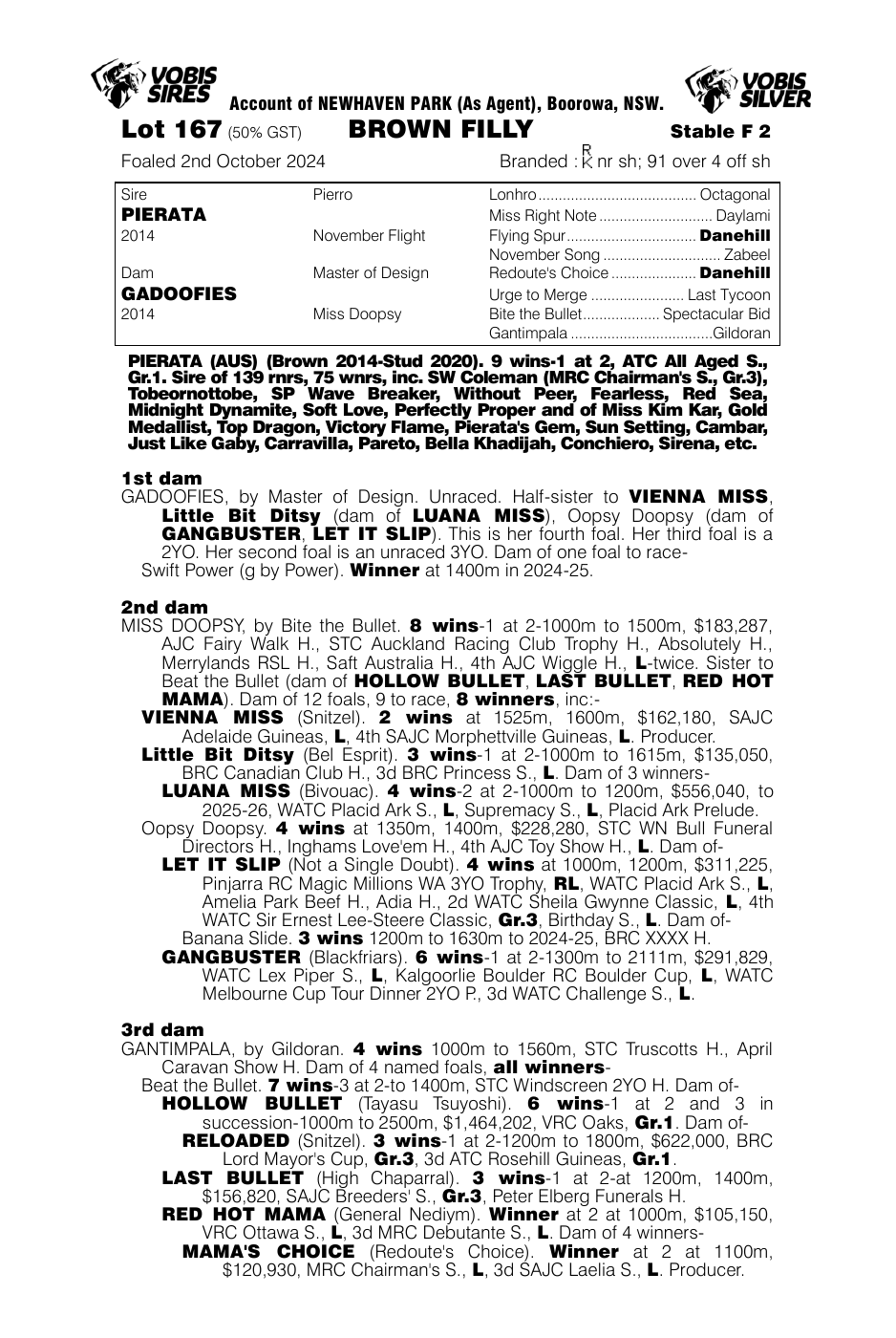 Pedigree - Lot 167