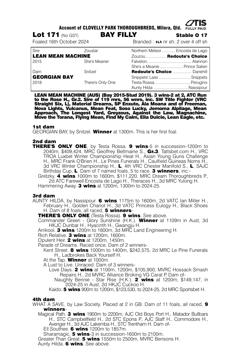 Pedigree - Lot 171