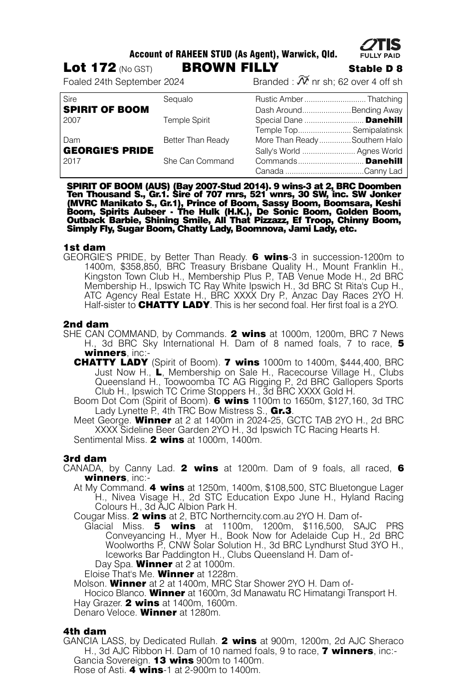 Pedigree - Lot 172