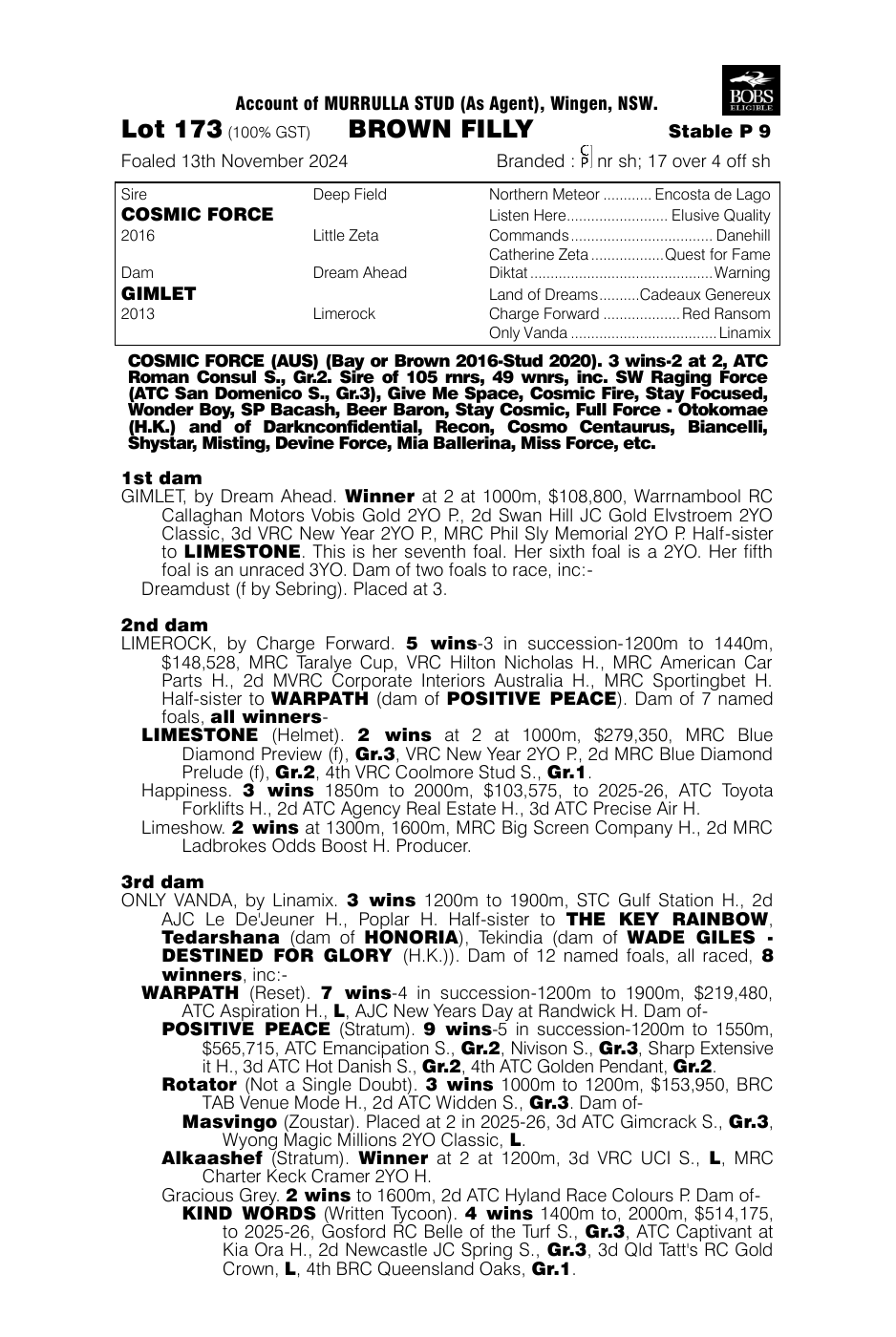 Pedigree - Lot 173