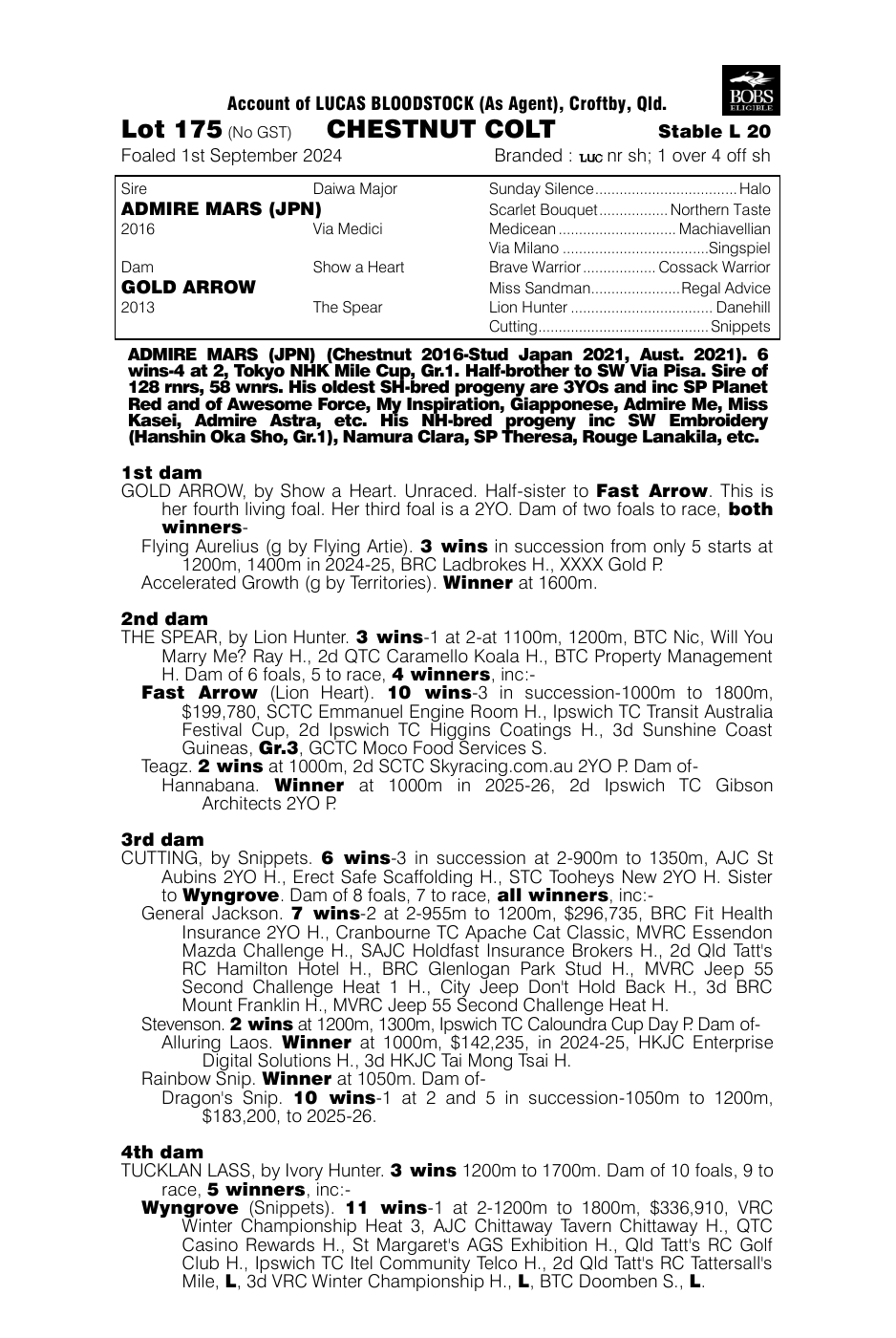 Pedigree - Lot 175