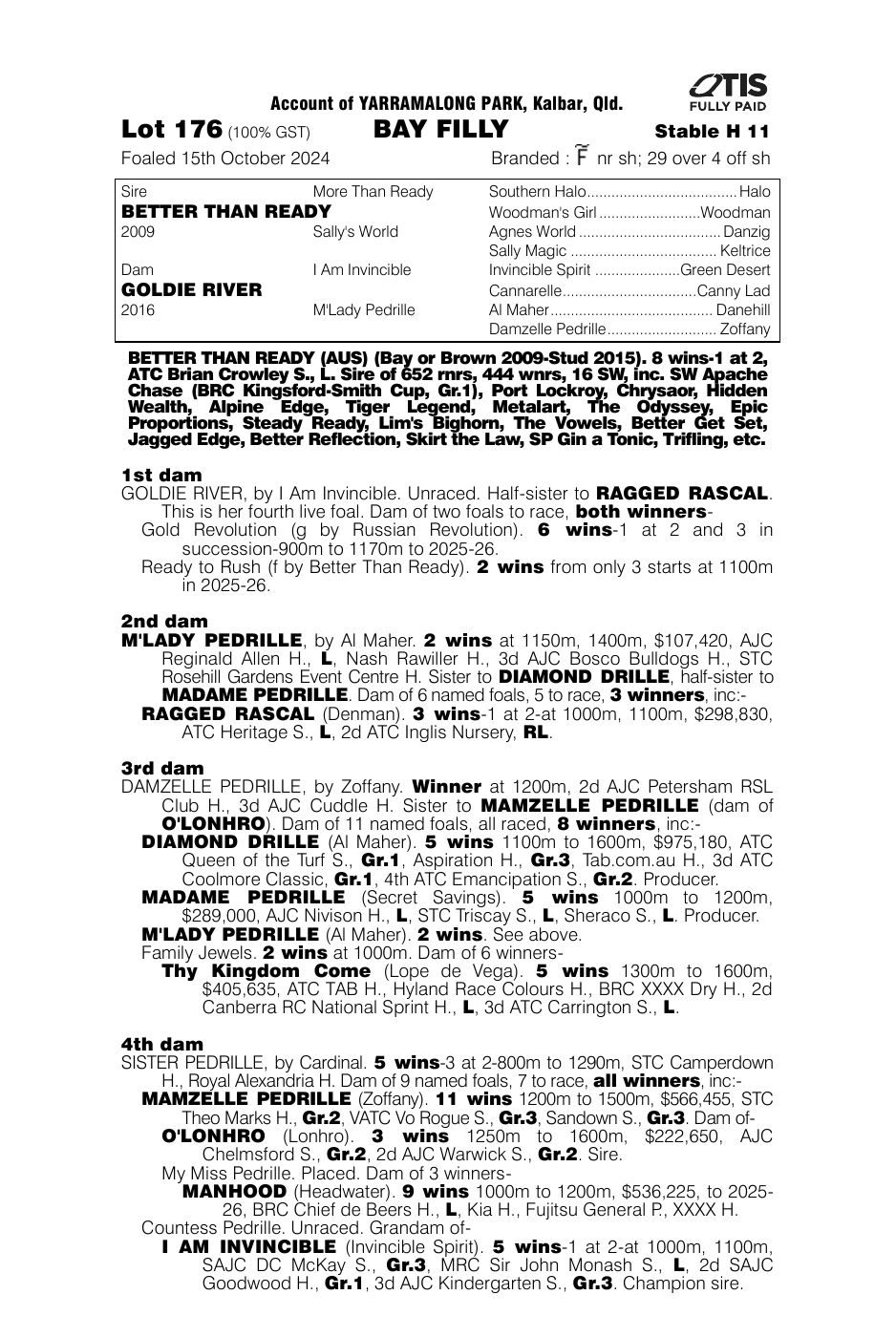 Pedigree - Lot 176